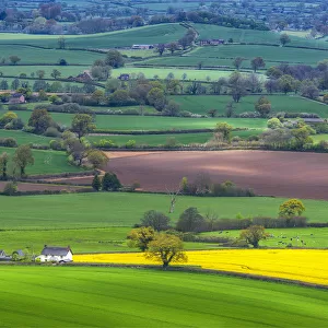 Farmland and agriculture near Hambleton Hill, Dorset, England, United Kingdom