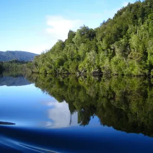 Finding Tranquility Finding Tranquility