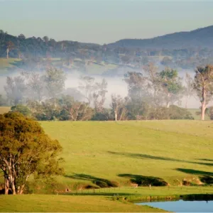 First light, countryside near Eden, New South Wales, Australia