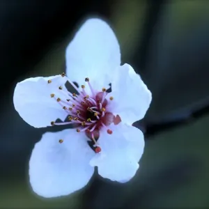 First sign of Spring
