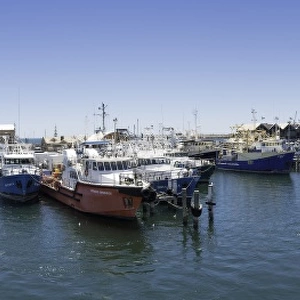 Fishing Boat Harbour