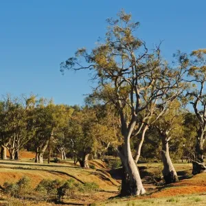 Flinders ranges south australia Flinders ranges south australia