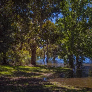 Flooding at Lake Jindabyne full to capacity after summer rains, Snowy mountains