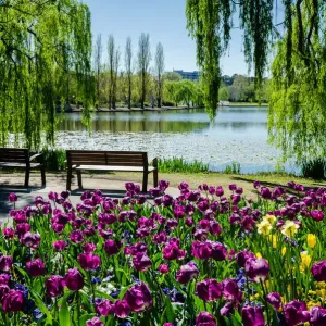 Floriade Spring Festival
