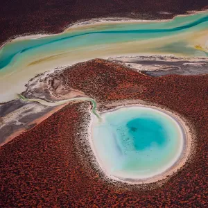 Shark Bay Aerial Print