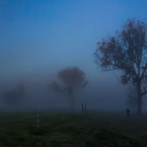 Foggy country road in the early morning, the Scenic Rim Region, Queensland, Australia