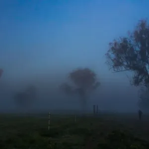 Foggy country road in the early morning, the Scenic Rim Region, Queensland, Australia