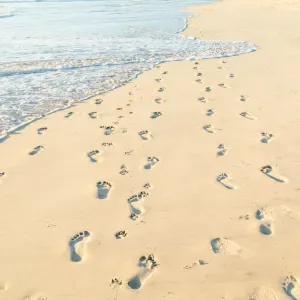 Footprints in the sand Print at sunrise Footprints in the sand Print at sunrise