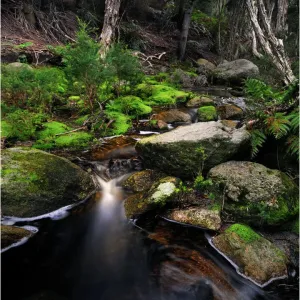Images Dated 2012 April: 1 Apr 2012