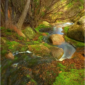 Images Dated 2011 March: 19 Mar 2011