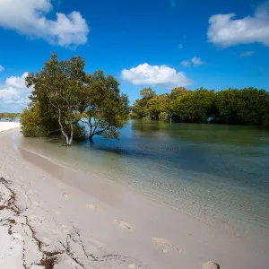 Fraser Island