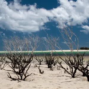 Fraser island at day time Fraser island at day time