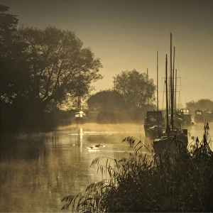 Frome river dawn