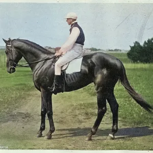 Gaulus and Jockey winner of the 1897 Melbourne Cup, Thoroughbred horse race, Victorian, 1890s, Vintage photograph, 19th Century Gaulus and Jockey winner of the 1897 Melbourne Cup, Thoroughbred horse race, Victorian, 1890s, Vintage photograph, 19th Century