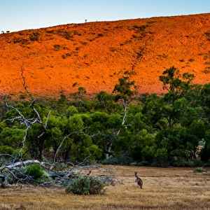 Gawler Ranges at Eyre Peninsula, South Australia