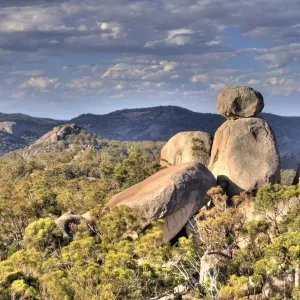 Girraween