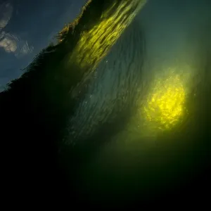 Gold face under water