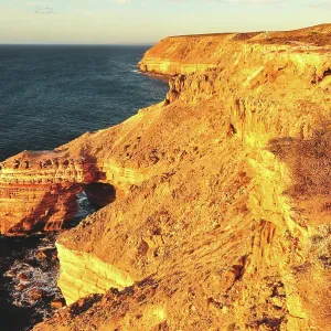 Golden Cliffs