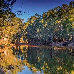 Golden light of an Autumn dusk in the Murray valley National park, along a Billabong of the Murray river, Corowa, New South Wales, Australia