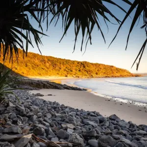 Granite Bay Print: Pandanus Palms Silhouetted Against Rocky Formations