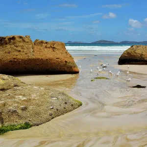 Granite Boulders and Sea Bay Granite Boulders and Sea Bay