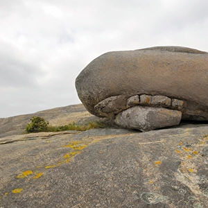 Granite glacial erratic rock, Stony Hill Outlook near Albany, Western Australia, Australia