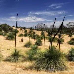 Images Dated 2009 November: 19 Nov 2009