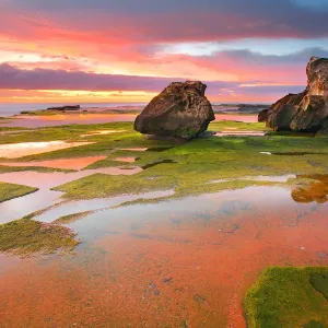 Grean moss on rocks and reflection of red sunrise Grean moss on rocks and reflection of red sunrise