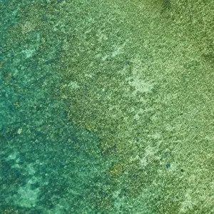 Great Barrier Reef