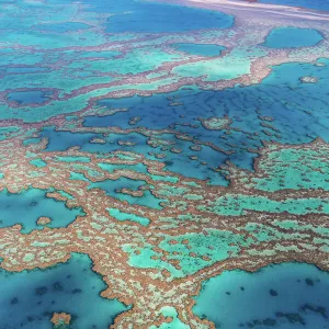 Great Barrier Reef