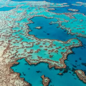 Great Barrier Reef