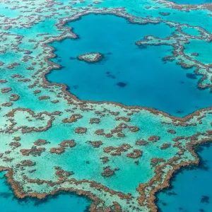 Great Barrier Reef Great Barrier Reef