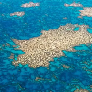 Great Barrier Reef Great Barrier Reef