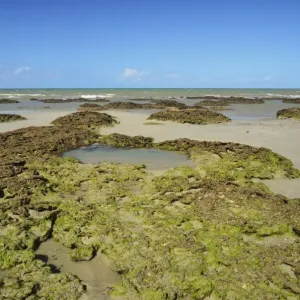 Great Barrier Reef