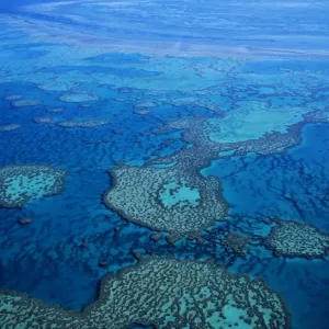 Great Barrier Reef in Australia