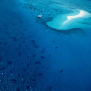 Great Barrier Reef in Australia