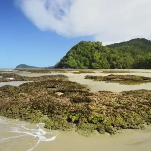 Great Barrier Reef meets rainforest