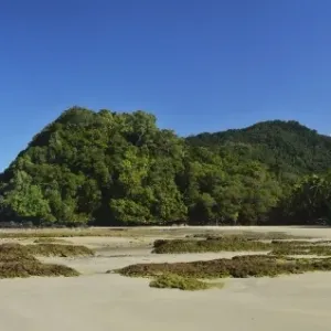 Great Barrier Reef meets rainforest Great Barrier Reef meets rainforest