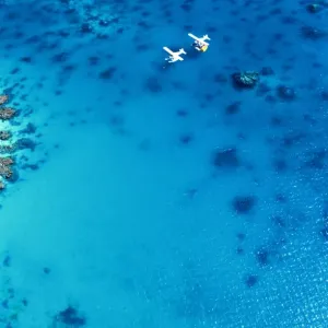 The Great Barrier Reef Print