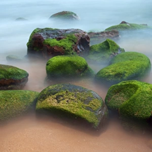 Green mossy rocks and misty water