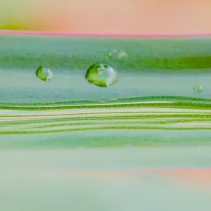 Australian Green and Pink Textured Leaf Print