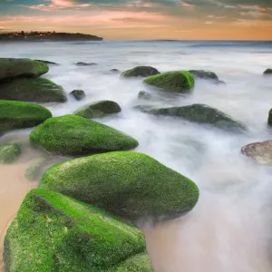 Green rocks at Curl Curl Beach Green rocks at Curl Curl Beach
