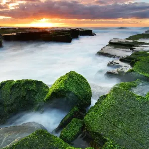 Green rocks at Turimetta Green rocks at Turimetta