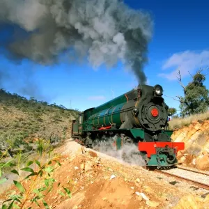 Green steam train Green steam train