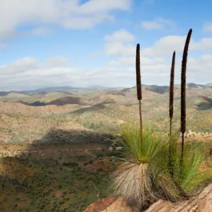 Griselda hill at Arkaroola