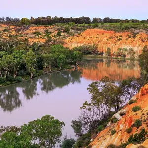 Gum trees and sandstone cliffs next to the Murray River. Renmark. The Riverland. South Australia
