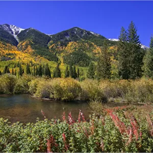 Gunnison Autumn colours, Colorado, south western United States of America