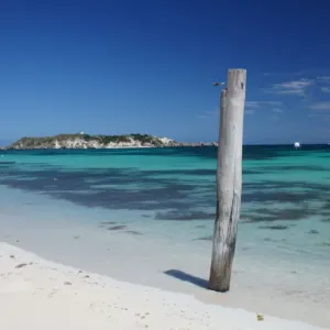 Hamelin bay revisited Hamelin bay revisited