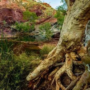 Hamersley Gorge
