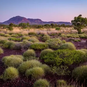 Hamersley Range